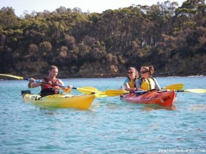 gulf shores kayak rentals